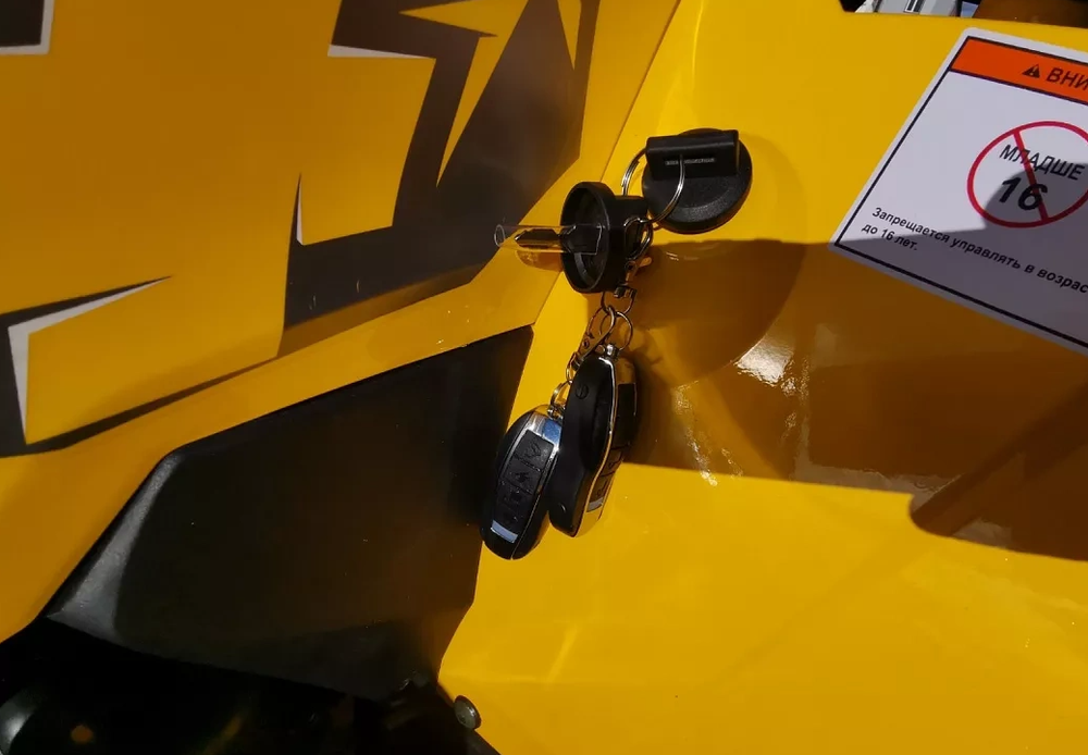 Квадроцикл MOTOLAND (МОТОЛЕНД) 200 WILD TRACK X PRO (баланс. вал)