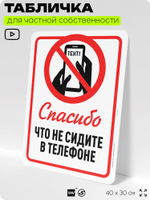 Табличка для частной территории "Спасибо, что не сидите в телефоне", на дом, для участка, организаций и частных территорий, предупреждающая, 40х30 см, Silver Plane x Айдентика Технолоджи