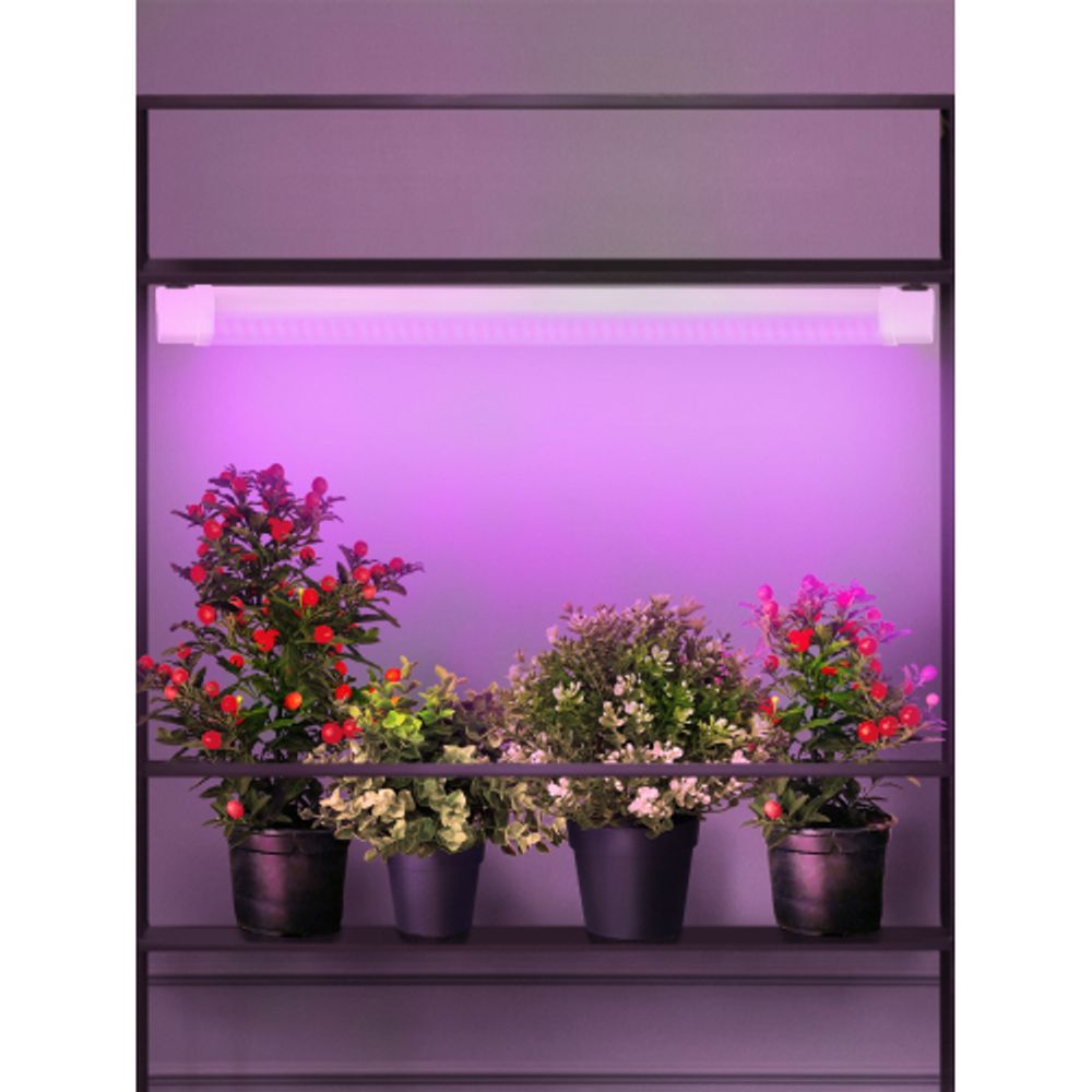 Светильник для растений, фитолампа светодиодная линейная ЭРА FITO-24W-RB-N красно-синего спектра 24 Вт | Линейные фито светильники