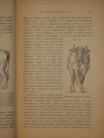 "Иллюстрированный гомеопатический лечебник для домашних животных. Руководство к предупреждению и гомеопатическому лечению болезней лошадей, рогатого скота, овец, свиней, собак и домашней птицы". Вильмар Швабе. 1880г.