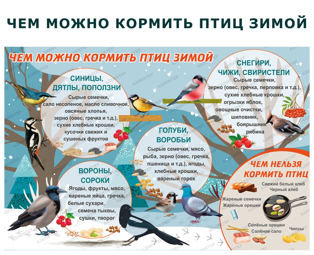 Комплект развивающий Мир птиц: Перелётные птицы, Зимующие птицы, Чем кормить птиц зимой 2155