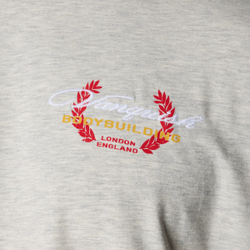 Футболка VANQUISH Golden Boy Oversized T-Shirt Grey
