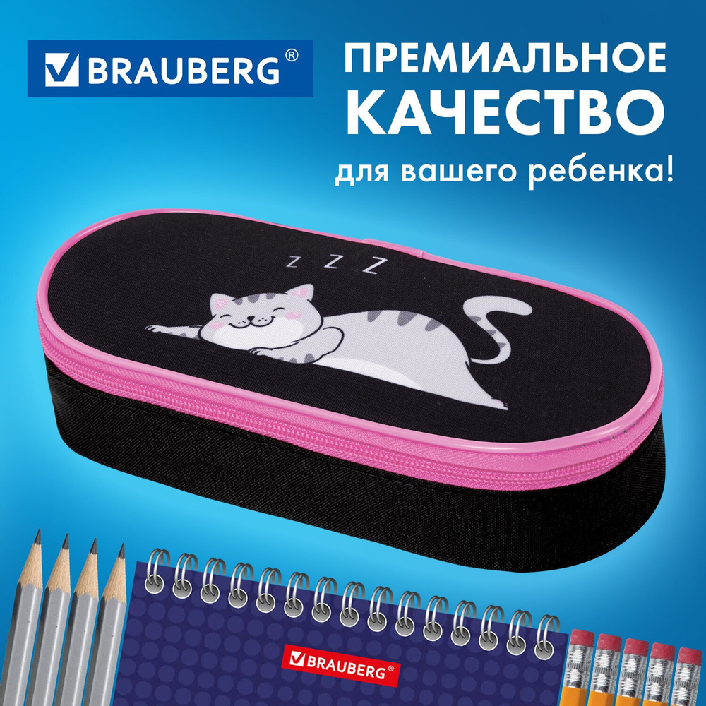 Пенал-футляр BRAUBERG 1 отделение органайзер полиэстер 22x9х5 см "Don't wake up" (2 штуки в упаковке)