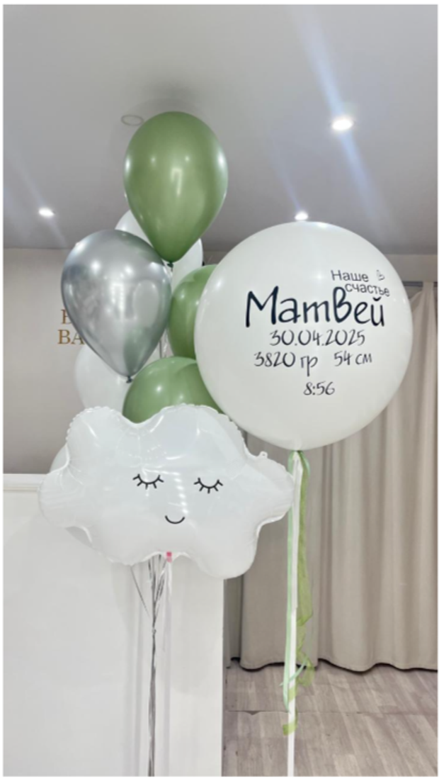 Шары на выписку №308