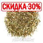 Пустырник (трава)