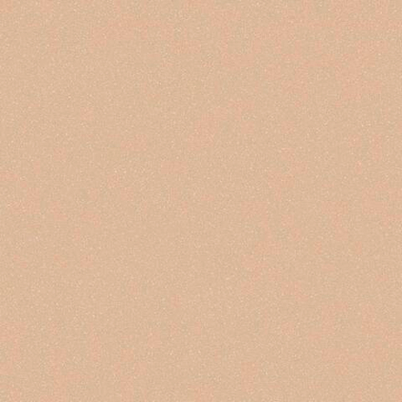 Линолеум Tarkett ACCZENT PRO Aspect 5, Ширина рулона: нарезка