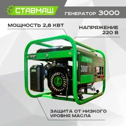 Генератор бензиновый Ставмаш 3000