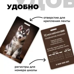 Карта Москвёнок DOGS №14 (проход + питание)