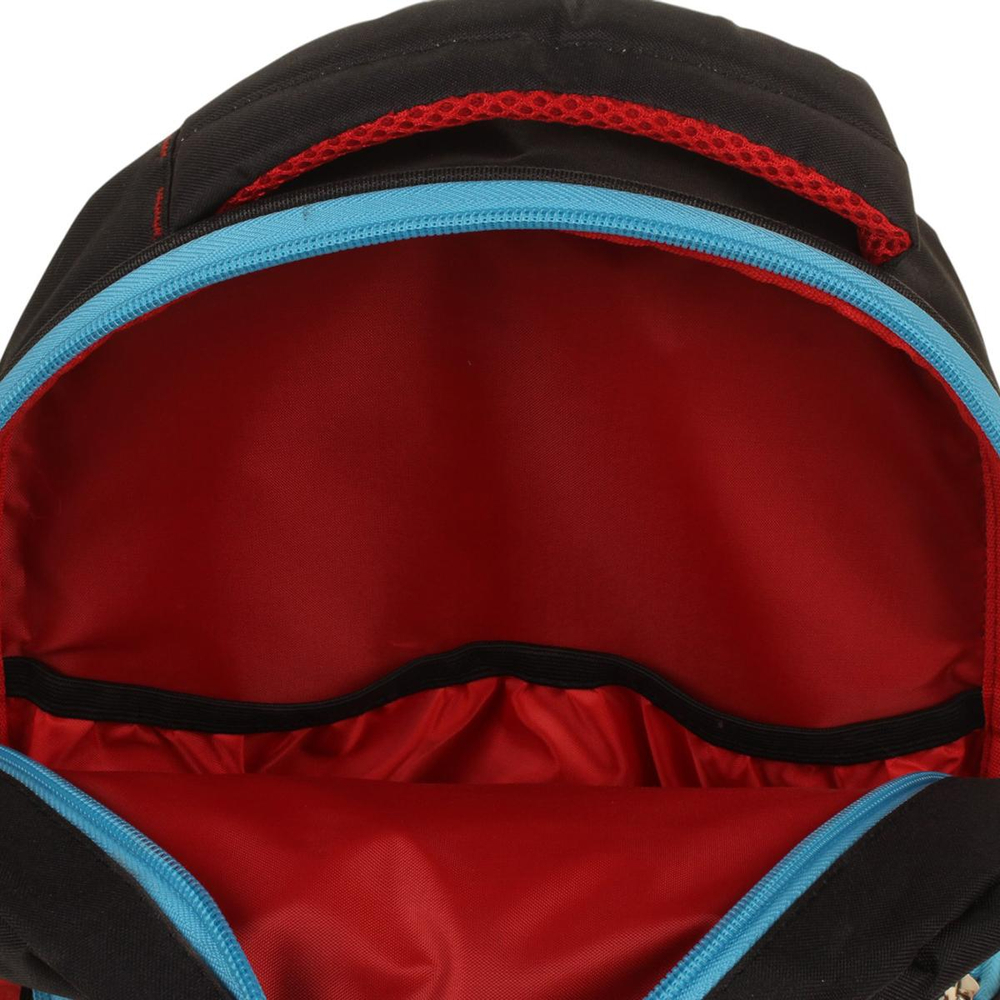 Ранец школьный Гармония 40*28*18см, анатом. спинкой, 1 отдел, 2 кармана, 2 боковых кармана "Авто" (