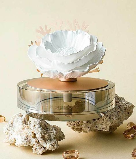 Crystal Tea leaf & Bergamot, ароматический диффузор с необычными палочками, Chando