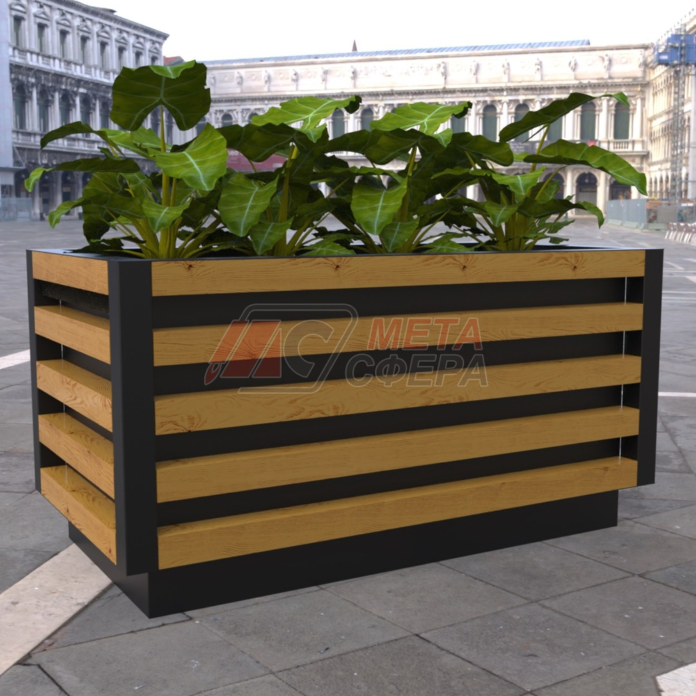 Вазон Кортен L