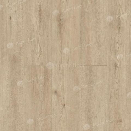 Abbi 1003-1