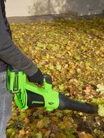 Воздуходувка аккумуляторная Greenworks Арт. 2408207, 40V, без АКБ и ЗУ