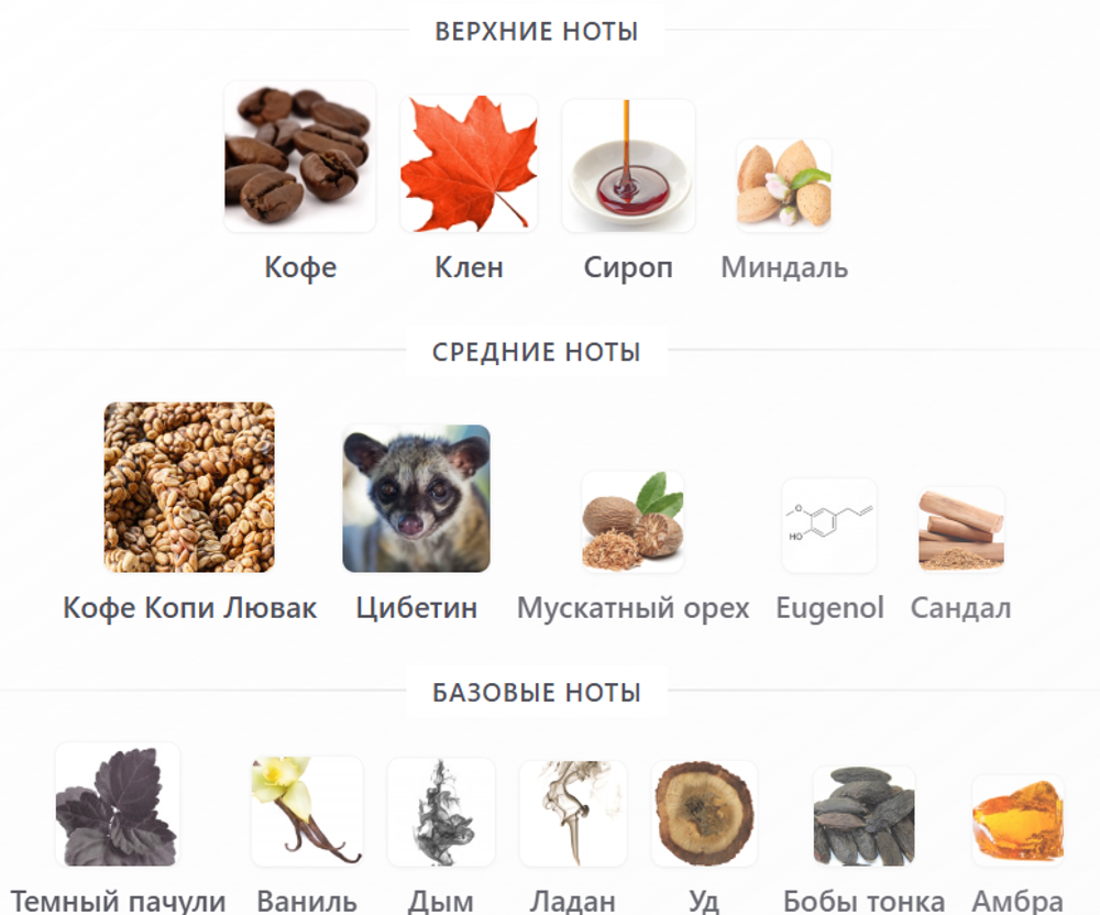 Pictura Fragrans Kopi Luwak