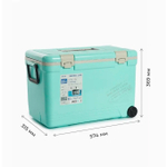 Термобокс SHINWA Holiday Land Cooler 33H синий HLC-33H-BL