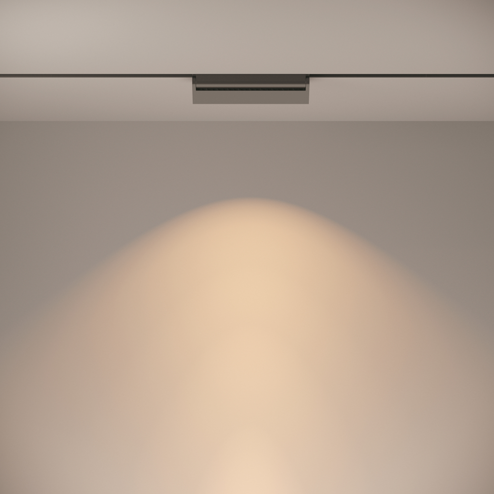 Трековый светильник Technical TR013-2-20W3K-B