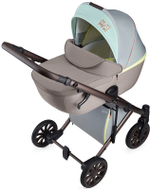 Детская коляска Anex e/type 2 в 1 wilson