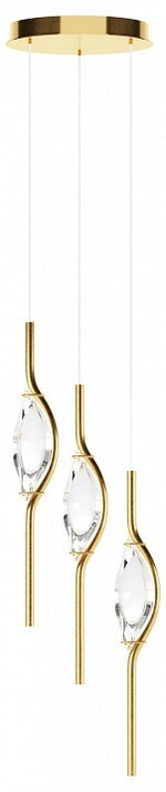 Подвесной светильник Maytoni Foresight MOD347PL-L24BS3K