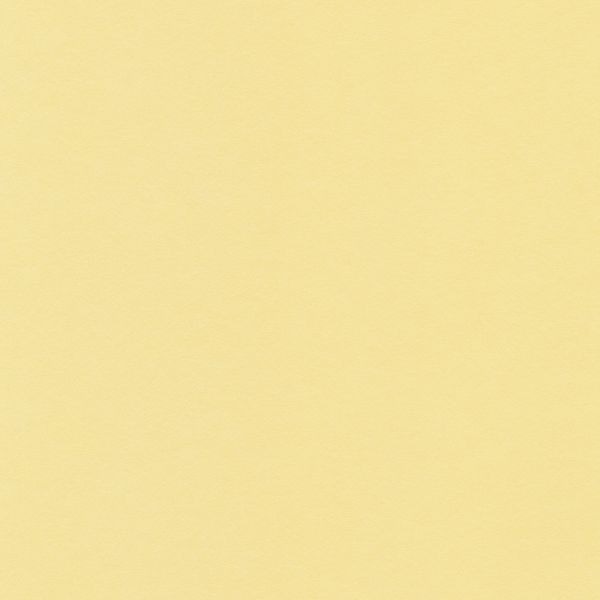 Бумага цветная 120 г/м², A4 21х29.7 см, 50 шт, 02 желтый светлый/yellow light, Vista-Artista MPO-A4