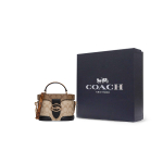 Сумка COACH Georgie 20, 5504-IMRKY