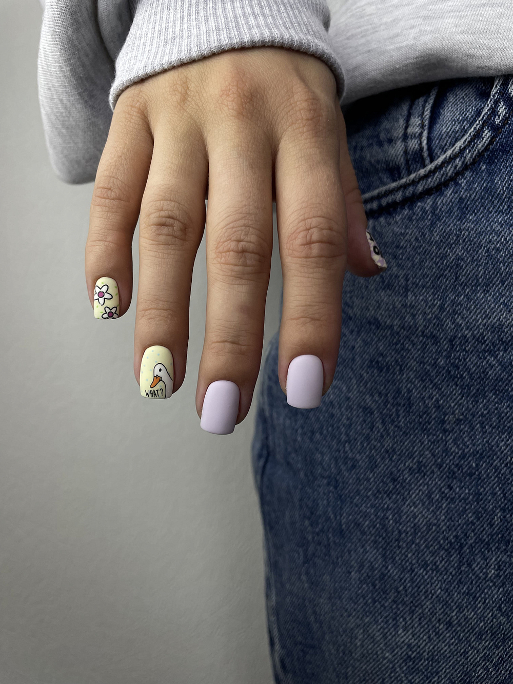 Swanky Stamping Пластина для стемпинга 139 гуси