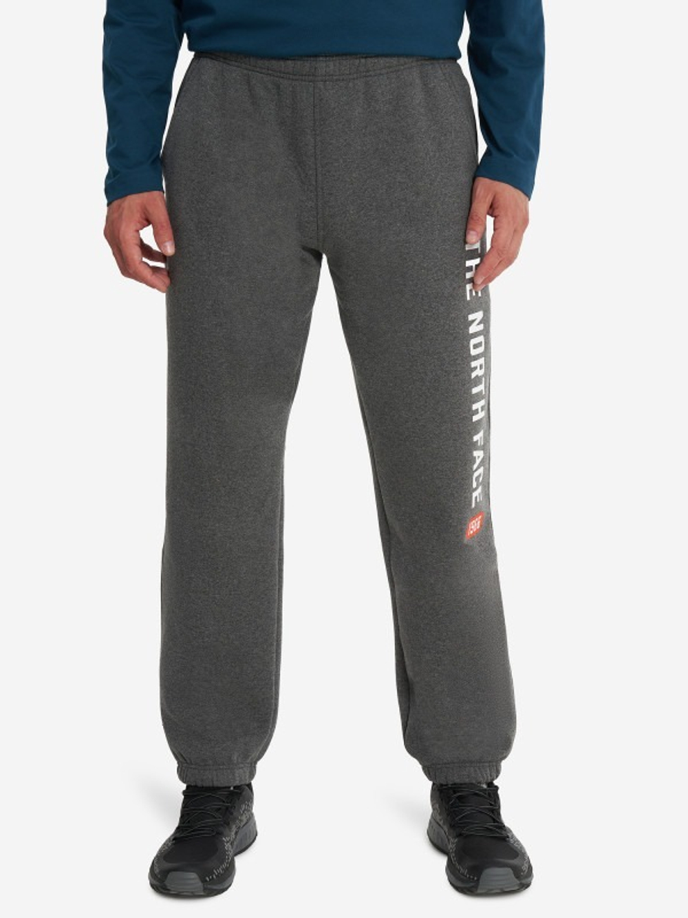 Брюки спортивные мужские THE NORTH FACE M PANT VARSITY GRAPHIC