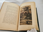 "С севера на юг. Путевые воспоминания старого журавля". Н.Н.Каразин. 1899г. - раритет