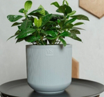 Горшок с дренажной системой РОССИ VipSet 1,9л серый