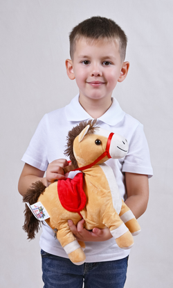 Сладкий новогодний подарок "Новогодний пони" 1кг