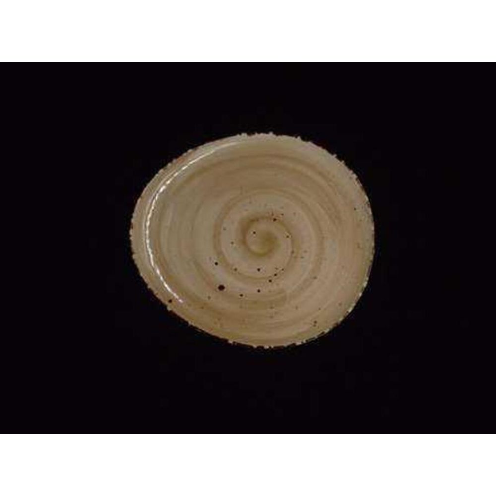 Тарелка 19*17 см Organica Sand P.L. Proff Cuisine [6]