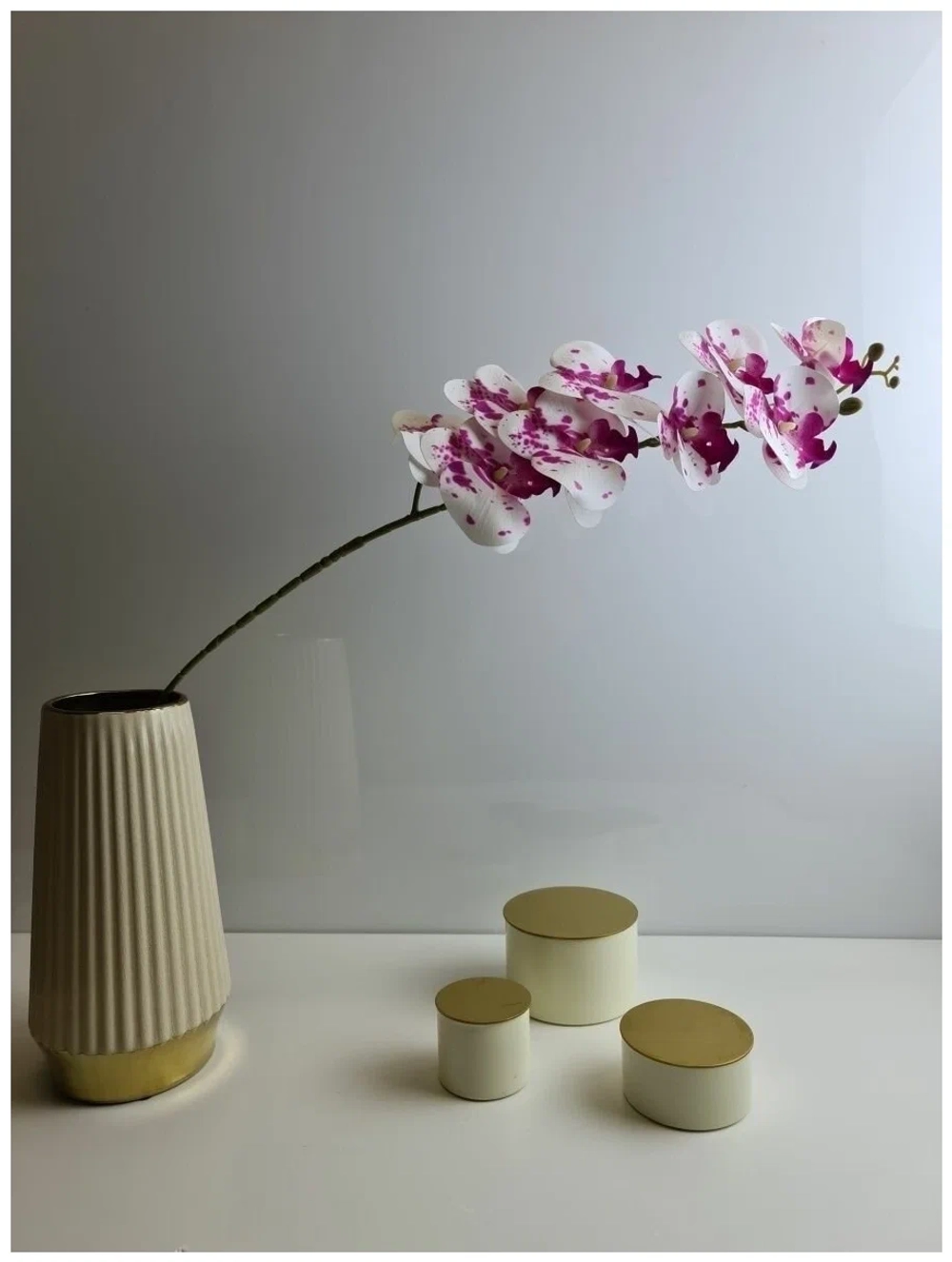 Пудровая Орхидея