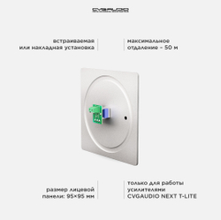 CVGAUDIO NVC-W Внешний настенный регулятор громкости для микшеров-усилителей NEXT/M, алюминий светлый