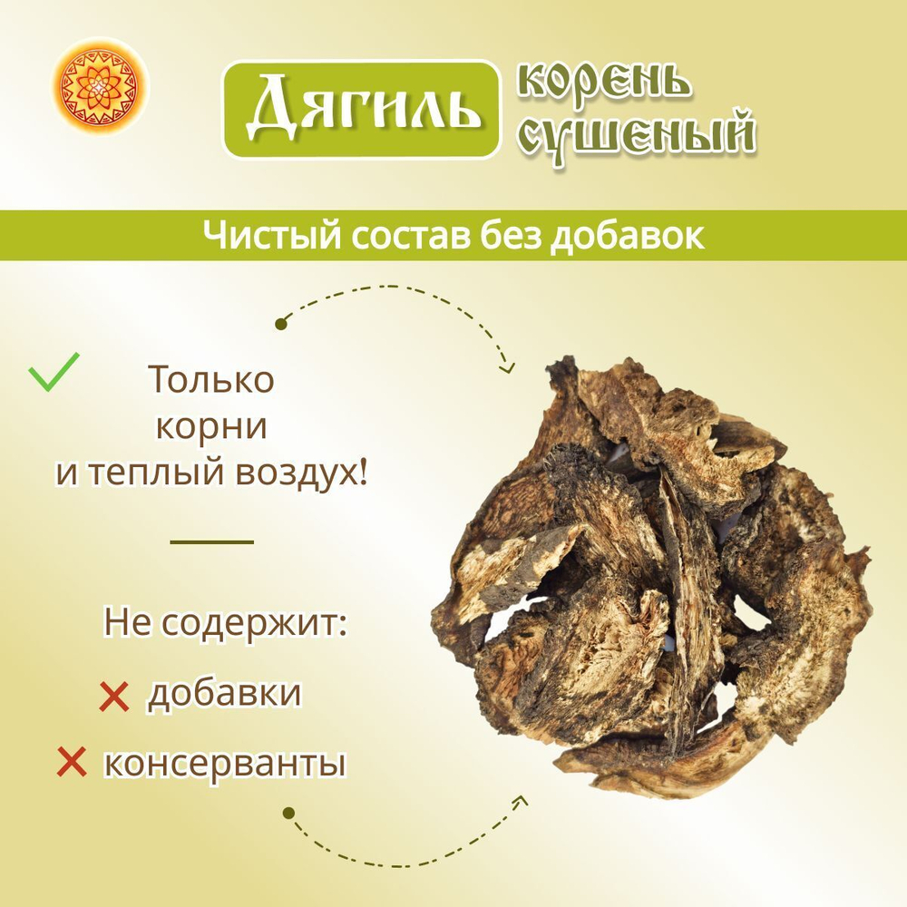 Дягиль корень.