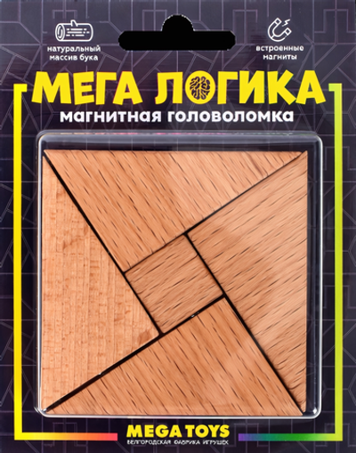 Магнитная головоломка по системе раннего развития Никитина 15952 (Лидер)