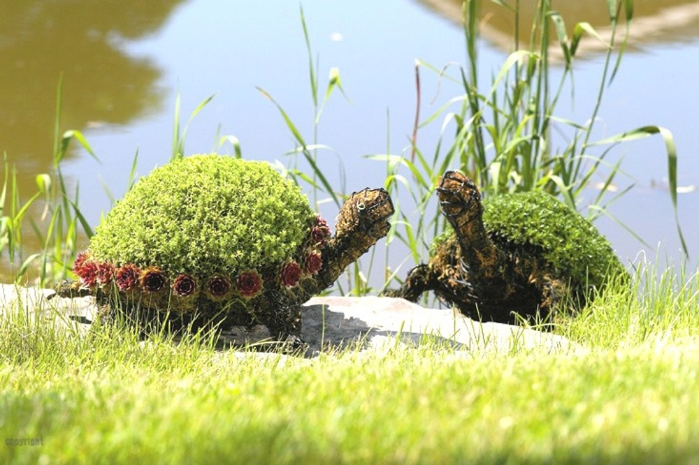 Топиарная фигура Большая черепаха