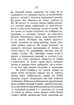 Очерк кавказской фауны и кавказских охот | Калиновский Анатолий Александрович