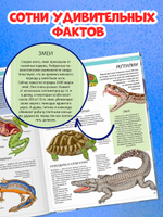 Удивительные энциклопедии. Большая детская энциклопедия