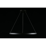 Подвесная светодиодная люстра Aployt Noella APL.051.03.43