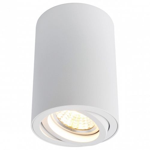 Накладной светильник Arte Lamp A1560PL-1WH