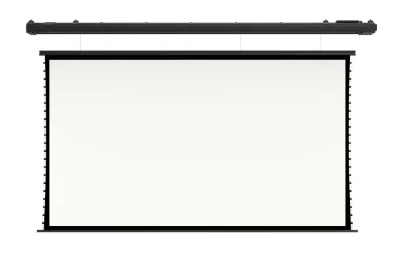 [LMWC-100209] Экран с электроприводом Lumien Master Wire Control