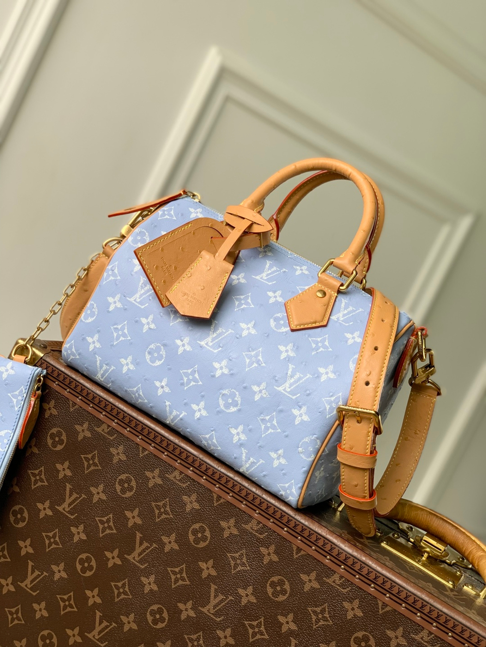 Louis Vuitton Speedy P9 Bandouliere 25