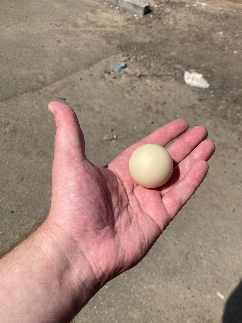 капролон стеклонполненный Шар