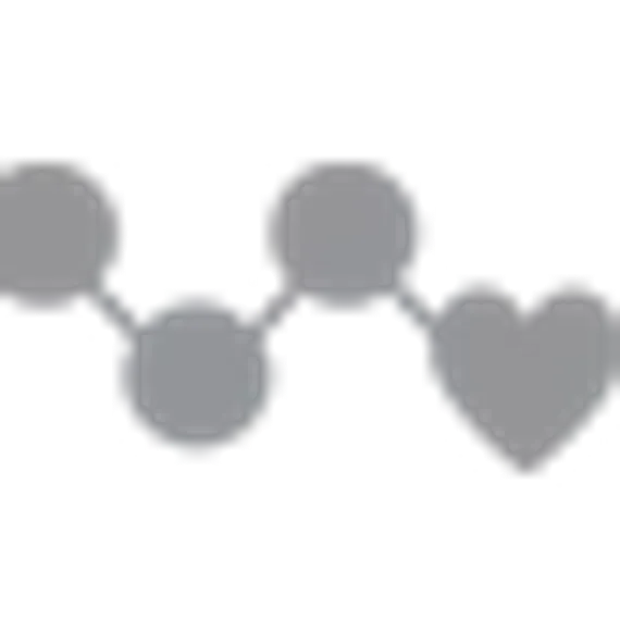 Garmin Forerunner 55 черные