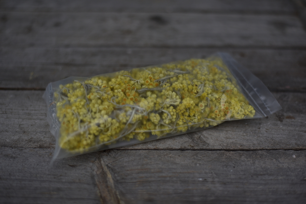 Бессмертник, цветы