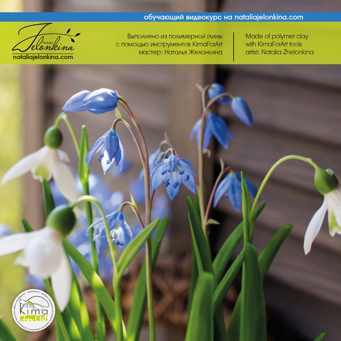 Пролеска цветок