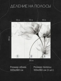 Фотообои Black Flowers 300х280 см флизелиновые Mondeco