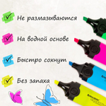 Набор текстовыделителей BRAUBERG 4 шт., АССОРТИ, "DELTA", линия1-5 мм, 151727
