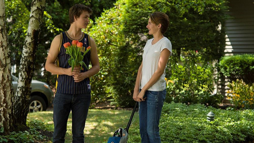 Виноваты звезды