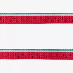 Ошейник LOLA Zee.Dog