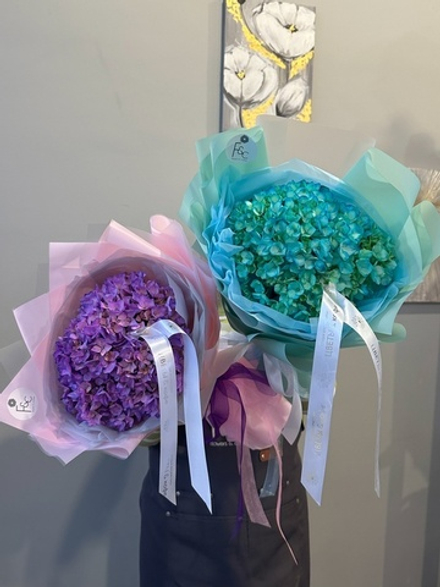 Гортензия Эквадор размера jumbo 30 см диаметром 🤩